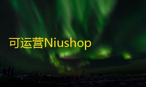 挂+锁头+透视+锁血可运营Niushop 多模版大型商城电商源码 v5.1.7
